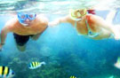 Phuket Snorkeling at Phi Phi Island 3Days 2Nights by Nok Air