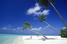Samui Delightful Deal