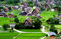 ทัวร์ญี่ปุ่น
