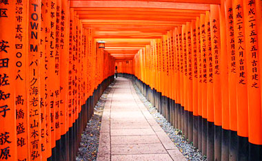 Tour Japan