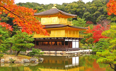 Tour Japan