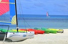 Club med Kani