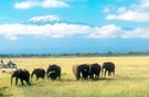 Tanzania 