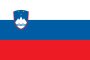 Flag Page