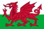 Flag Page