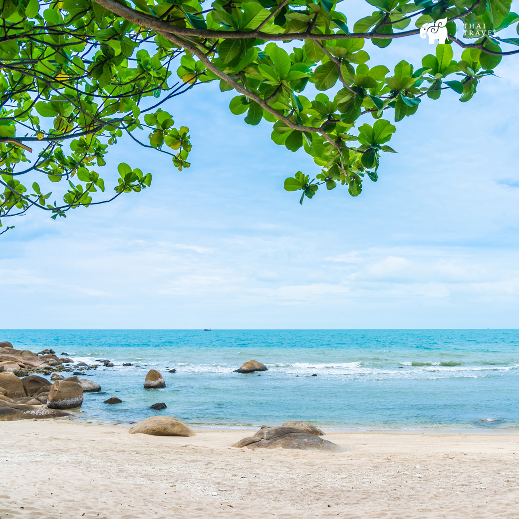 Samui beach