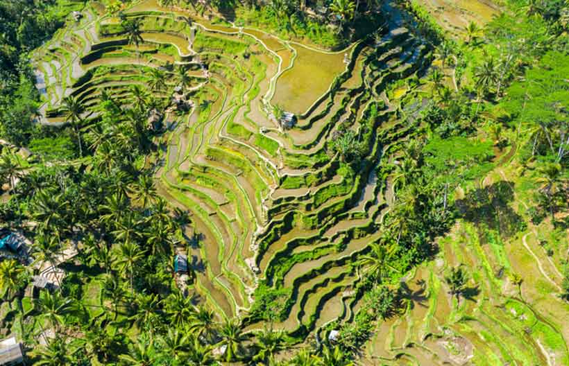 ทัวร์เอเชีย อินโดนีเซีย บาหลี นาข้าวขั้นบันได วัดเบซากิห์ เกาะนูซา สวนวิษณุ บาหลีสวิงค์ 4 วัน 3 คืน สายการบินแอร์เอเชีย
