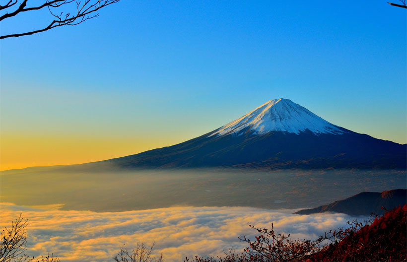 ทัวร์ญี่ปุ่น โตเกียว ฟูจิ ภูเขาโอมูโระ  วัดโคโตคุอิน  ฟูจิ ชิบะซากุระ เฟสติวัล  6 วัน 4 คืน สายการบินไทย