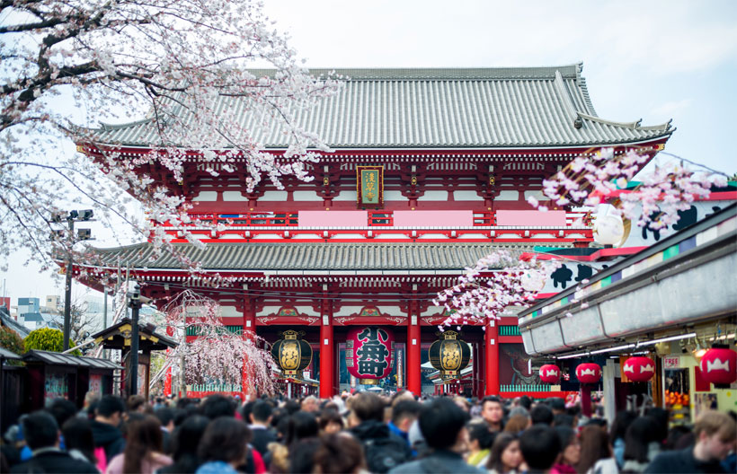 ทัวร์ญี่ปุ่น โตเกียว วัดอาซากุสะ ช็อปปิงชินจูกุ สวนโออิชิ ปาร์ค   เทศกาลฟูจิ ชิบะซากุระ  5 วัน 3 คืน สายการบินแอร์เอเชียเอ๊กซ์