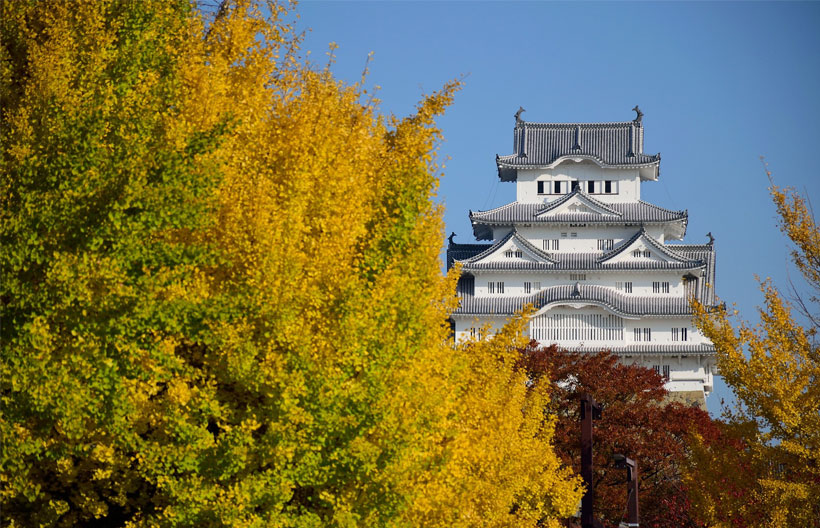 ทัวร์ญี่ปุ่น โอซาก้า ชมใบไม้เปลี่ยนสี ปราสาทมัตสึยามะ ปราสาทฮิเมจิ  เมืองเก่าคุราชิกิ เกาะชิโกกุ ออนเซ็น 6 วัน 4 คืน สายการบินไทย