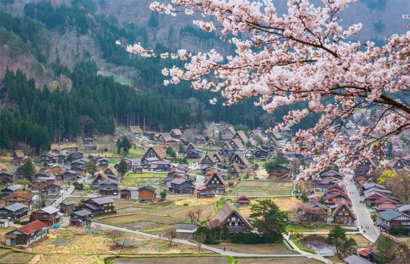 ทัวร์ญี่ปุ่น นาโกย่า ฟูจิ FUJIYAMA TOWER จุดชมวิวฟูจิแบบพาโนราม่า  หมู่บ้านชิราคาวาโกะ สวนดอกไม้นะบะนะ โนะ ซาโตะ ช้อปปิ้งย่านซาคาเอะ 6 วัน 4 คืน สายการบินแอร์เอเชียเอ๊กซ์