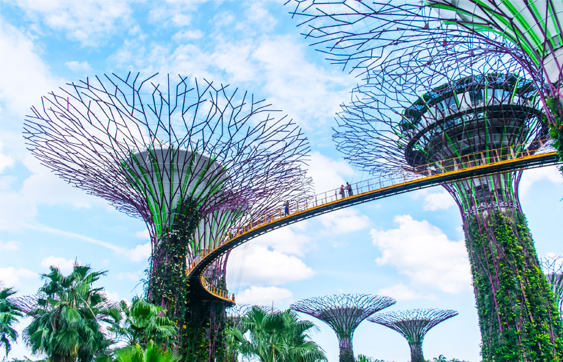 ทัวร์สิงคโปร์ ชมงาน Formula 1 Singapore Grand Prix 2025 บัตร Padang Grandstand (ตั๋วแบบนั่งโซน 4) 3 วัน 2 คืน สายการบินสิงคโปร์ แอร์ไลน์