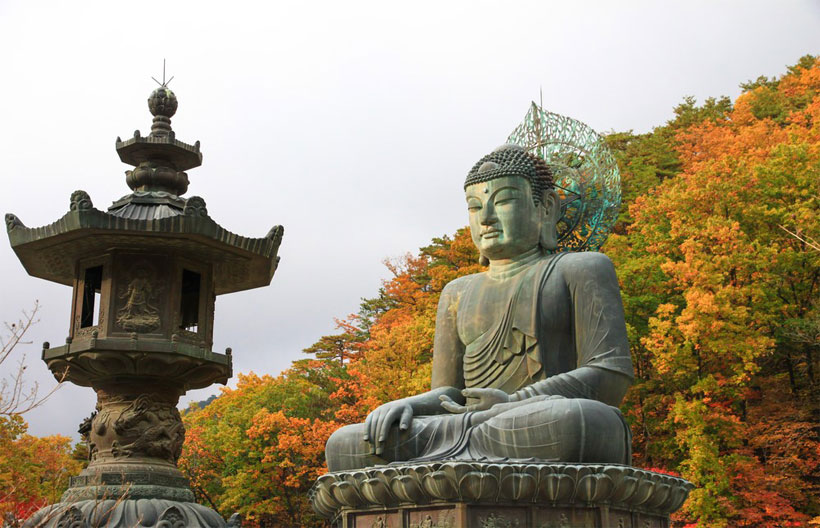 ทัวร์เกาหลี เกาะนามิ อุทยานแห่งชาติซอรัคซาน สวนสนุกเอเวอร์แลนด์  พระราชวังเคียงบกกุง 5 วัน 3 คืน สายการบินแอร์ปูซาน