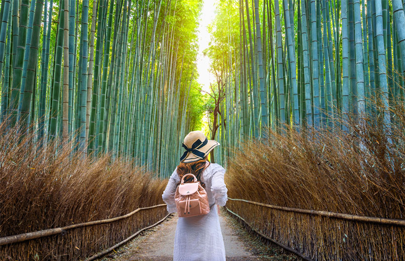 ทัวร์ญี่ปุ่น โอซาก้า นารา เกียวโต วัดโทไดจิ สะพานโทเก็ตสึเคียว ศาลเจ้าฟูชิมิ อินาริ วัดคัตสึโอจิ  ตลาดคุโรมง   5 วัน 3 คืน สายการบินพีช แอร์ไลน์