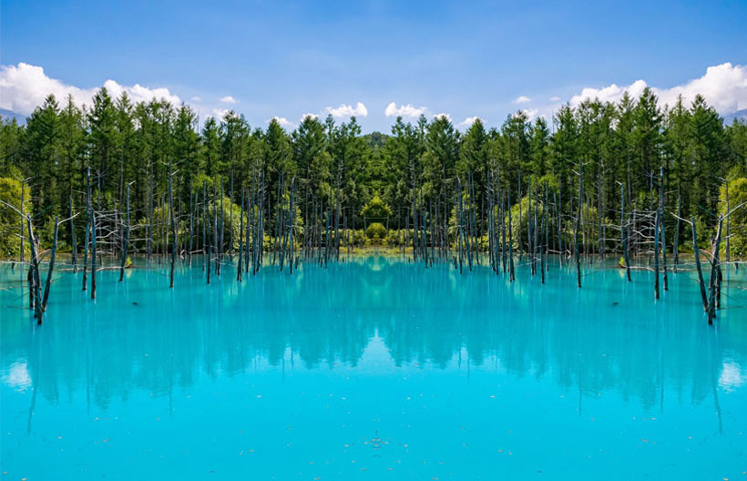 ทัวร์ญี่ปุ่น  ฮอกไกโด  โทมิตะฟาร์ม  ลาเวนเดอร์ บ่อน้ำสีฟ้า คลองโอตารุ  หุบเขานรกจิโกคุดานิ 6 วัน 4 คืน สายการบินไทย