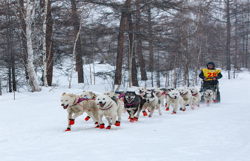 ทัวร์ยุโรป ฟินแลนด์ เฮลซิงกิ แสงเหนือ เรือตัดน้ำแข็ง Icebreaker หมู่บ้านซานตาคลอส Husky Sarfari   8 วัน 6 คืน สายการบินฟินแอร์