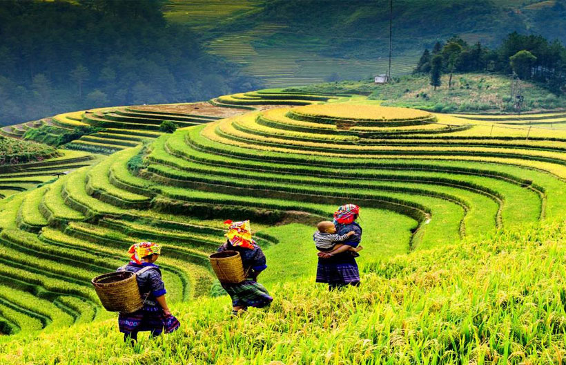 ทัวร์เวียดนามเหนือ ซาปา ฮานอย โบสถ์หินซาปา ยอดเขาฟานซิปัน โมอาน่าคาเฟ่ หมู่บ้านกั๊ต กั๊ต 4 วัน 3 คืน สายการบินเวียดนาม แอร์ไลน์
