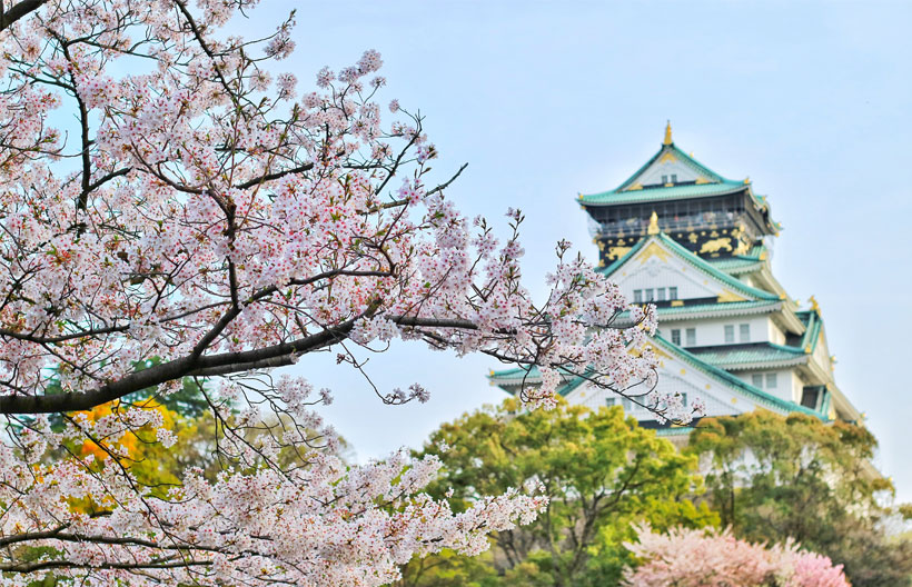 ทัวร์ญี่ปุ่น โอซาก้า เกียวโต  สวนนารา  วัดโทไดจิ  ปราสาทโอซาก้า  ถนนสายนักปราชญ์ ช้อปปิ้งชินไซบาชิ ตลาดคุโรมง 5 วัน 4 คืน สายการบินแอร์เอเชียเอ๊กซ์