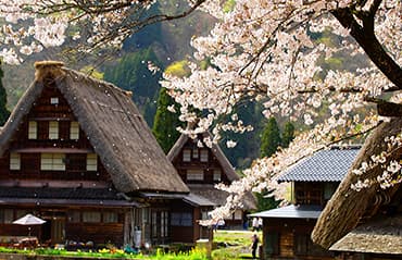 ทัวร์ญี่ปุ่น ทาคายาม่า ยามานาชิ นาโกย่า ชมซากุระ เยือนลิตเติ้ลเกียวโต ซันมาชิซูจิ