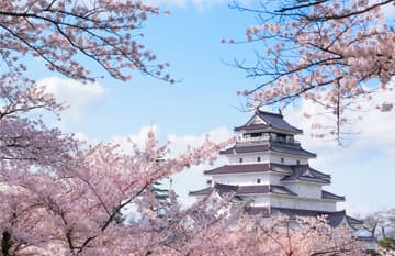 ทัวร์ญี่ปุ่น เยือนหมู่บ้านโบราณ โออุจิ จุคุ ชมซากุระ ณ ปราสาทนกกระเรียน ช้อปปิ้ง ชินจูกุ