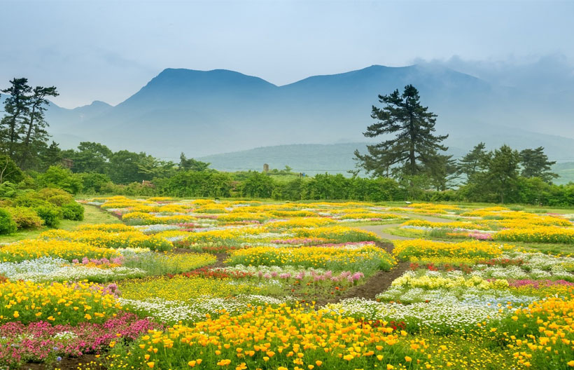 ทัวร์ญี่ปุ่น ฟุกุโอกะ สวนดอกไม้คุจู บ่อน้ำร้อนจิโกกุ กันดั้มปาร์คฟุกุโอกะ 5 วัน 3 คืน สายการบินไทยเวียดเจ็ท แอร์