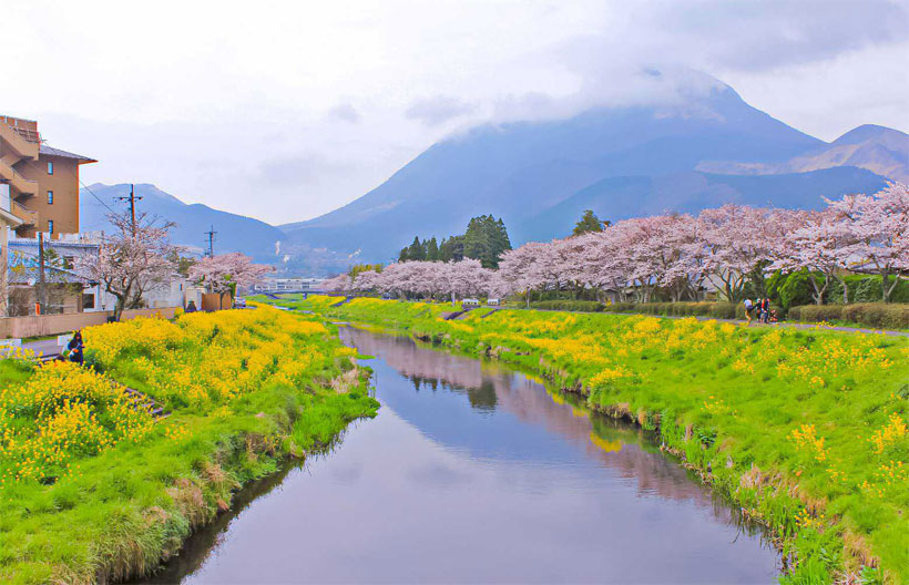 ทัวร์ญี่ปุ่น ฟุกุโอกะ ชมซากุระ บ่อนรกเบปปุ  ปราสาทคุมาโมโตะ  หมู่บ้านยุฟุอินฟลอร์รัล  ศาลเจ้าดะไซฟุเทมมังกู  5 วัน 3 คืน สายการบินแอร์เอเชีย