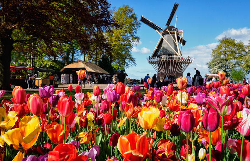 ทัวร์ยุโรป เนเธอร์แลนด์ เยอรมัน ลักแซมเบิร์ก เบลเยี่ยม สวนดอกไม้เคอเคนฮอฟ  8 วัน 5 คืน สายการบินเอมิเรตส์แอร์ไลน์