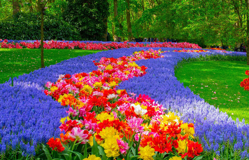 ทัวร์ยุโรป ฝรั่งเศส เบลเยี่ยม ลักเซมเบิร์ก  เยอรมนี เนเธอร์แลนด์ สงกรานต์2567 เทศกาลดอกไม้เคอเคนฮอฟ  8 วัน 5 คืน สายการบินเอมิเรตส์แอร์ไลน์