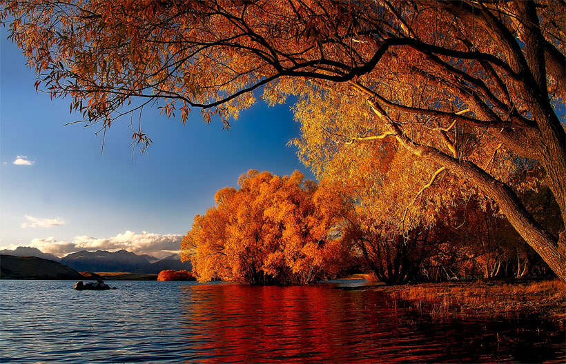 ทัวร์นิวซีแลนด์ ชมใบไม้เปลี่ยนสี  ไคร์สท์เชิร์ท ควีนส์ทาวน์ ทะเลสาบเทคาโป สกายไลน์กอนโดล่า มิลฟอร์ดซาวน์
