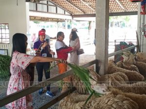 ทัวร์ไทย-บริษัท โพลิเทค อินดัสทรี จำกัด-ขอขอบคุณคณะคุณลูกค้า คณะบริษัท โพลิเทค อินดัสทรี จำกัด ที่ให้ความไว้วางใจบริษัทเรานำท่องเที่ยวจังหวัดชลบุรี เมืองพัทยา ในครั้งนี้ค่ะ