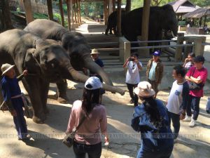 ทัวร์ไทย -บริษัท บราเดอร์ คอมเมอร์เชี่ยล (ประเทศไทย) จำกัด (สำนักงานใหญ่) -ขอขอบคุณ คณะ บริษัท บราเดอร์ คอมเมอร์เชี่ยล (ประเทศไทย) จำกัด (สำนักงานใหญ่)  ที่ให้ความไว้วางใจบริษัทไทยทราวเวลเซ็นเตอร์ นำท่องเที่ยว จังหวัดเชียงใหม่ ในครั้งนี้ค่ะ