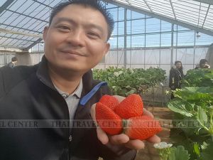 ทัวร์ญี่ปุ่น-บริษัท ซุปเปอร์ เค พาวเวอร์  จำกัด (สาขา3)-ขอขอบคุณ บริษัท ซุปเปอร์ เค พาวเวอร์  จำกัด (สาขา3) ที่ไว้วางใจบริษัทเรา นำท่องเที่ยวญี่ปุ่น เมืองโตเกียว สนุกสนานกับกิจกรรมบนลานหิมะขนาดใหญ่ ฟูจิเท็น ชมและถ่ายรูปคู่กับภูเขาไฟฟูจิสัญลักษณ์สำคัญของญี่ปุ่น ล่องเรือชมวิวทิวทัศน์ของทะเลสาปอาชิ ขึ้นไปชิมไข่ดำบนหุบเขาโอวาคุดานิ ที่ต้มกันร้อนๆจากน้ำแร่ธรรมชาติ ชิมสตอเบอรี่สดๆจากต้น ที่มีการปลูกและดูแลอย่างพิถีพิถัน และนมัสการเจ้าแม่กวนอิมทองคำ ในวิหารขนาดใหญ่ วัดอาซากุซะ