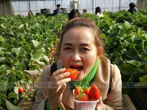 ทัวร์ญี่ปุ่น-บริษัท ซุปเปอร์ เค พาวเวอร์  จำกัด (สาขา3)-ขอขอบคุณ บริษัท ซุปเปอร์ เค พาวเวอร์  จำกัด (สาขา3) ที่ไว้วางใจบริษัทเรา นำท่องเที่ยวญี่ปุ่น เมืองโตเกียว สนุกสนานกับกิจกรรมบนลานหิมะขนาดใหญ่ ฟูจิเท็น ชมและถ่ายรูปคู่กับภูเขาไฟฟูจิสัญลักษณ์สำคัญของญี่ปุ่น ล่องเรือชมวิวทิวทัศน์ของทะเลสาปอาชิ ขึ้นไปชิมไข่ดำบนหุบเขาโอวาคุดานิ ที่ต้มกันร้อนๆจากน้ำแร่ธรรมชาติ ชิมสตอเบอรี่สดๆจากต้น ที่มีการปลูกและดูแลอย่างพิถีพิถัน และนมัสการเจ้าแม่กวนอิมทองคำ ในวิหารขนาดใหญ่ วัดอาซากุซะ