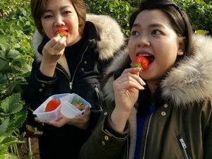 ทัวร์ญี่ปุ่น-บริษัท ซุปเปอร์ เค พาวเวอร์ จำกัด (สาขา3)-ขอขอบคุณ บริษัท ซุปเปอร์ เค พาวเวอร์ จำกัด (สาขา3) ที่ไว้วางใจบริษัทเรา นำท่องเที่ยวญี่ปุ่น เมืองโตเกียว สนุกสนานกับกิจกรรมบนลานหิมะขนาดใหญ่ ฟูจิเท็น ชมและถ่ายรูปคู่กับภูเขาไฟฟูจิสัญลักษณ์สำคัญของญี่ปุ่น ล่องเรือชมวิวทิวทัศน์ของทะเลสาปอาชิ ขึ้นไปชิมไข่ดำบนหุบเขาโอวาคุดานิ ที่ต้มกันร้อนๆจากน้ำแร่ธรรมชาติ ชิมสตอเบอรี่สดๆจากต้น ที่มีการปลูกและดูแลอย่างพิถีพิถัน และนมัสการเจ้าแม่กวนอิมทองคำ ในวิหารขนาดใหญ่ วัดอาซากุซะ