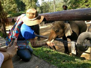 ทัวร์ไทย-คณะบริษัท อาโตเทค(ประเทศไทย) จำกัด (สำนักงานใหญ่) ท่องเที่ยวจังหวัดเชียงใหม่-ขอขอบคุณคุณลูกค้าคณะบริษัท อาโตเทค(ประเทศไทย) จำกัด (สำนักงานใหญ่) ที่ให้ความไว้วางใจบริษัทเรานำคณะท่านท่องเที่ยว
 และทำกืจกรรม ณ จังหวัดเชียงใหม่ ในครั้งนี้ค่ะ