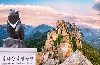 จัดทัวร์ เกาหลี