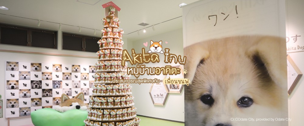หมาอาคิตะ,หมู่บ้านหมาอาคิตะ