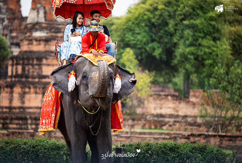 ayutthaya ,อยุธยา ,One Day Trip