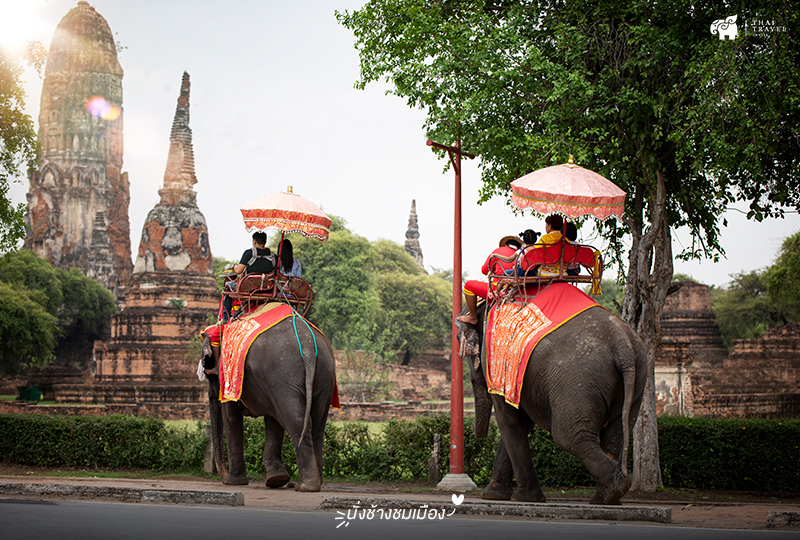ayutthaya ,อยุธยา ,One Day Trip
