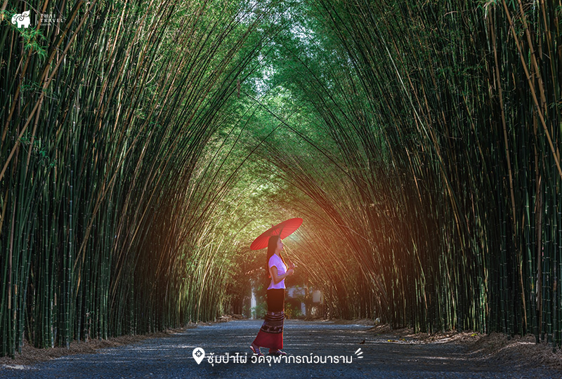 ซุ้มป่าไผ่