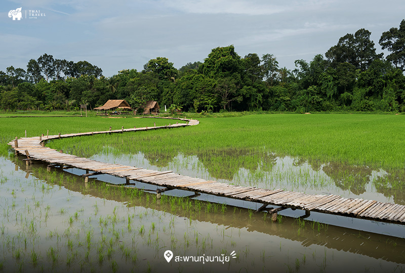 สะพานทุ่งนามุ้ย