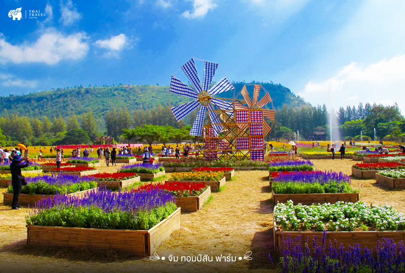 จิม ทอมป์สัน ฟาร์ม