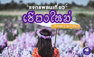 หนาว , ที่เที่ยวหน้าหนาว , หน้าหนาว
