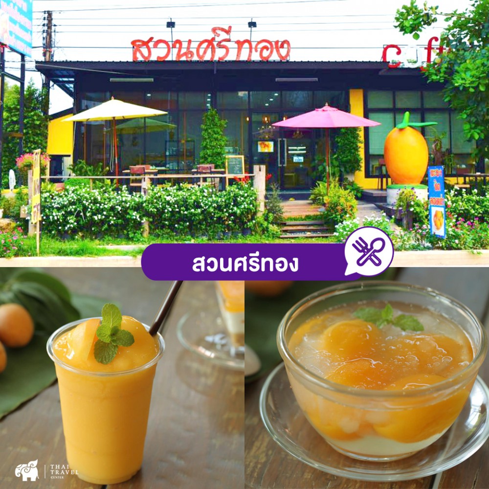 cafe , คาเฟ่ ,คาเฟ่นครนายก ,ที่เที่ยวนครนายก ,ร้านอาหาร ,ร้านอาหารนครนายก ,คาเฟ่กลางทุ่งนา ,นครนายก
