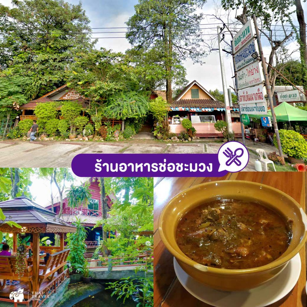 cafe , คาเฟ่ ,คาเฟ่นครนายก ,ที่เที่ยวนครนายก ,ร้านอาหาร ,ร้านอาหารนครนายก ,คาเฟ่กลางทุ่งนา ,นครนายก
