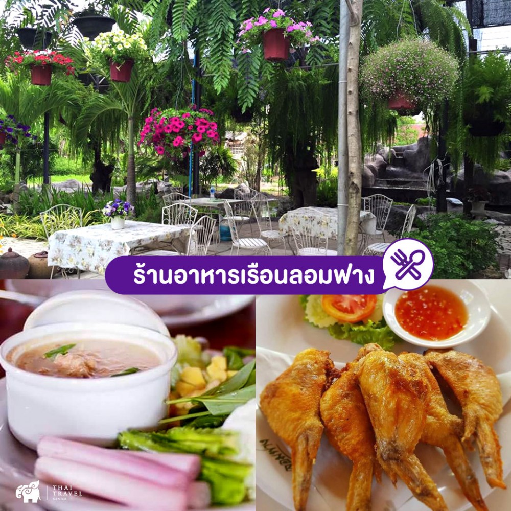 cafe , คาเฟ่ ,คาเฟ่นครนายก ,ที่เที่ยวนครนายก ,ร้านอาหาร ,ร้านอาหารนครนายก ,คาเฟ่กลางทุ่งนา ,นครนายก