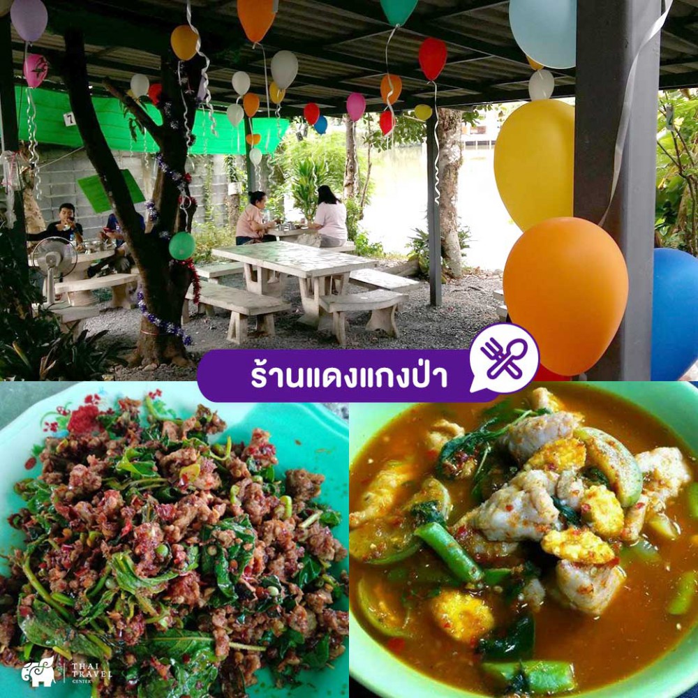 cafe , คาเฟ่ ,คาเฟ่นครนายก ,ที่เที่ยวนครนายก ,ร้านอาหาร ,ร้านอาหารนครนายก ,คาเฟ่กลางทุ่งนา ,นครนายก
