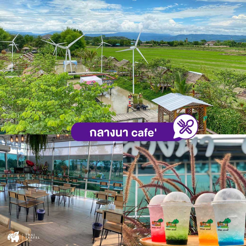 cafe , คาเฟ่ ,คาเฟ่นครนายก ,ที่เที่ยวนครนายก ,ร้านอาหาร ,ร้านอาหารนครนายก ,คาเฟ่กลางทุ่งนา ,นครนายก
