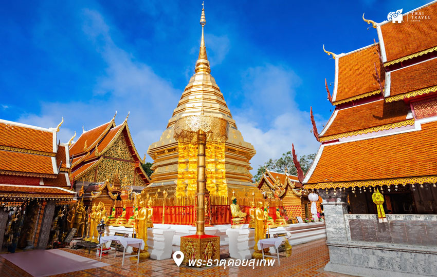 chiangmai ,เชียงใหม่ ,ที่เที่ยวเชียงใหม่ ,เที่ยวเชียงใหม่ ,ประตูท่าแพ ,W8 x Viangpha Café ,ถนนช้างม่อย ,ข้าวซอยนิมมาน ,พระธาตุดอยสุเทพ ,The Core Hotel, Chiangmai , สุรชัยฟาร์ม , I Love Flower Farm,Chic39 Garden Cafe and Restaurant Mae rim ,ปางช้างแม่สา 